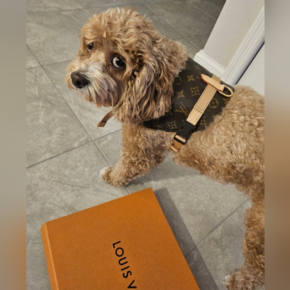 Meet your Posher, Toni - Picture 6 of 8